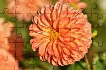 OK jigsaw puzzle