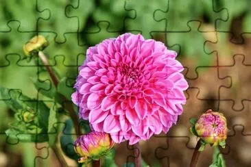 OK jigsaw puzzle