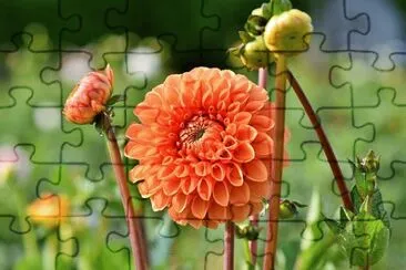 OK jigsaw puzzle