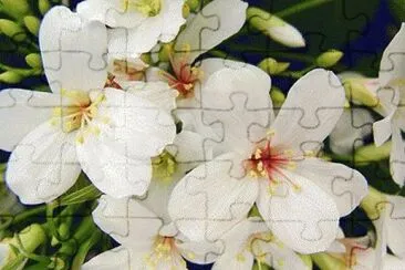 OK jigsaw puzzle