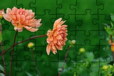 OK jigsaw puzzle