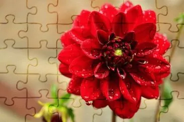 OK jigsaw puzzle