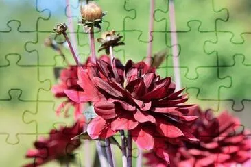 OK jigsaw puzzle