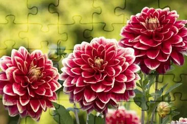 OK jigsaw puzzle