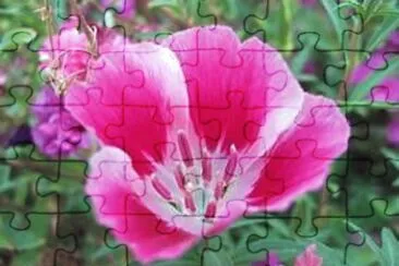 OK jigsaw puzzle