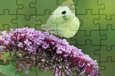 OK jigsaw puzzle