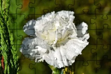 OK jigsaw puzzle