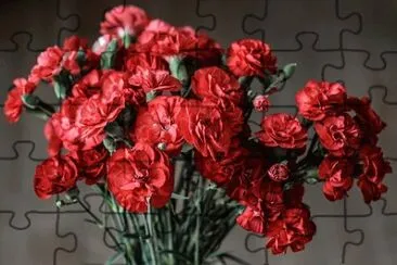 OK jigsaw puzzle