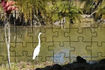 Garça no Lago jigsaw puzzle