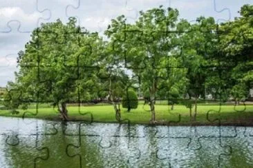 Foto jigsaw puzzle