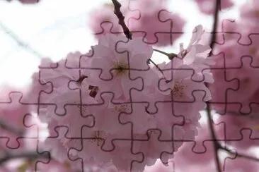 Foto jigsaw puzzle