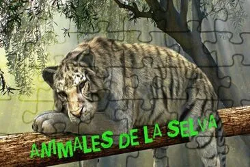 animales de la selva