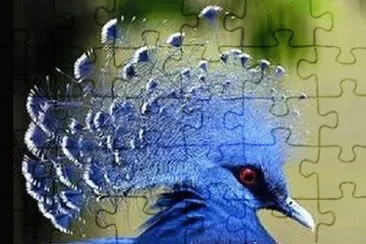 Foto jigsaw puzzle