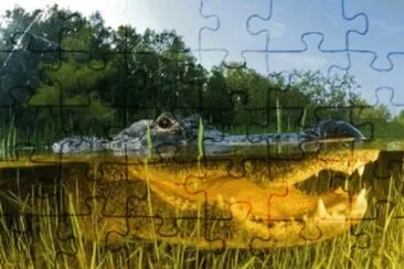 Foto jigsaw puzzle