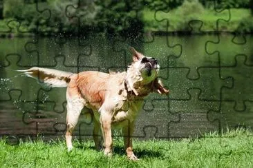 Foto jigsaw puzzle