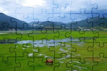 Foto jigsaw puzzle