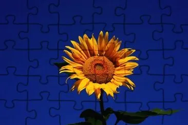 Toy jigsaw puzzle