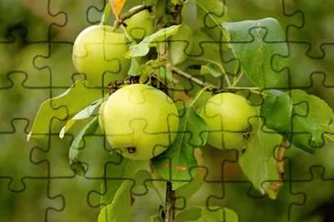 Toy jigsaw puzzle