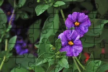 Toy jigsaw puzzle