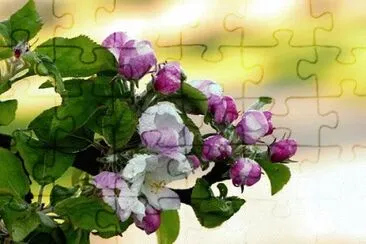 Toy jigsaw puzzle