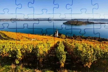 Toy jigsaw puzzle