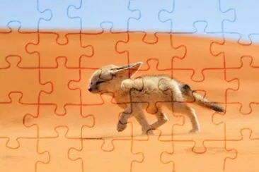 Toy jigsaw puzzle