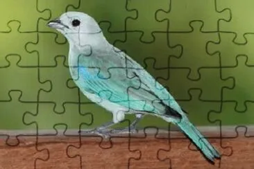 Toy jigsaw puzzle