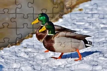 Toy jigsaw puzzle