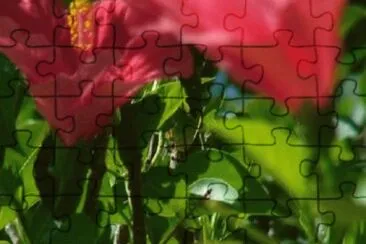 Toy jigsaw puzzle