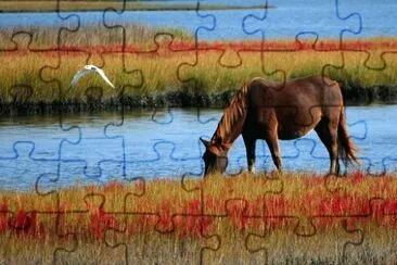 Toy jigsaw puzzle