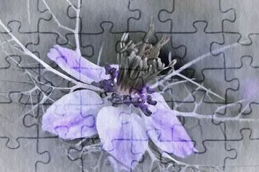 Foto jigsaw puzzle