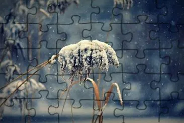 Foto jigsaw puzzle