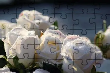 Foto jigsaw puzzle