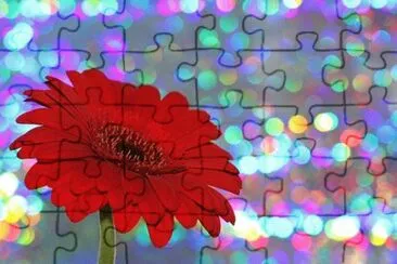 Foto jigsaw puzzle