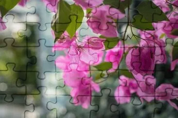 Foto jigsaw puzzle