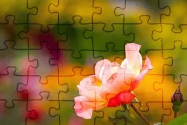 Foto jigsaw puzzle