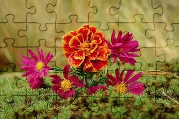 Foto jigsaw puzzle