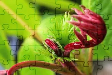 Toy jigsaw puzzle