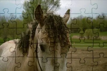 Curly jigsaw puzzle