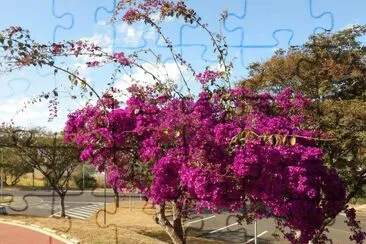 Primavera jigsaw puzzle