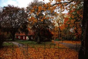 OtoÃ±o Suecia