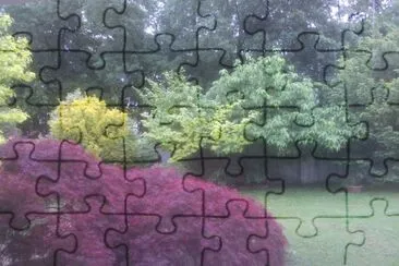 4 jigsaw puzzle