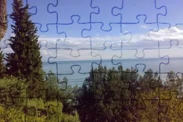 9 jigsaw puzzle