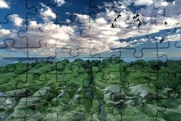 Nature jigsaw puzzle