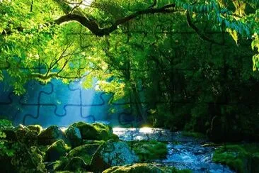 Nature jigsaw puzzle