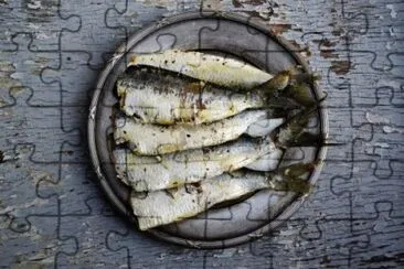 Sardines