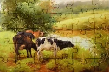 JR 244 jigsaw puzzle