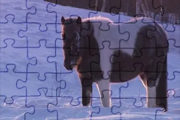 Yakut jigsaw puzzle