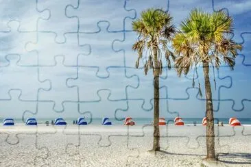 vzla jigsaw puzzle