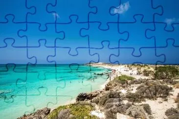 vzla jigsaw puzzle